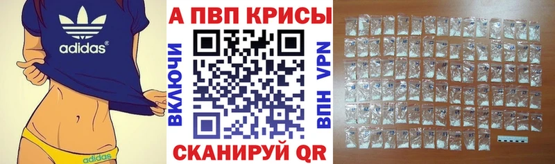 Альфа ПВП СК Новая Ладога