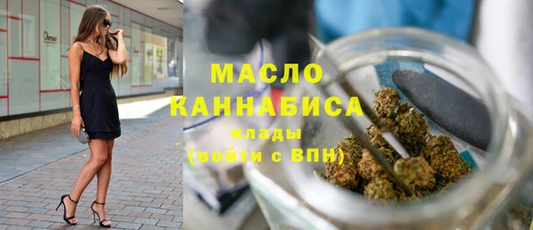 прущие грибы Гусиноозёрск