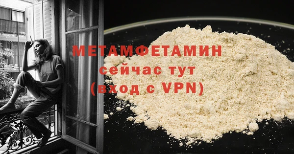 прущие грибы Гусиноозёрск