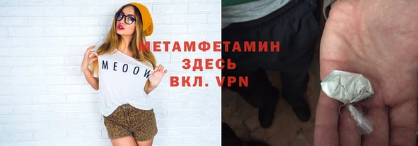 прущие грибы Гусиноозёрск