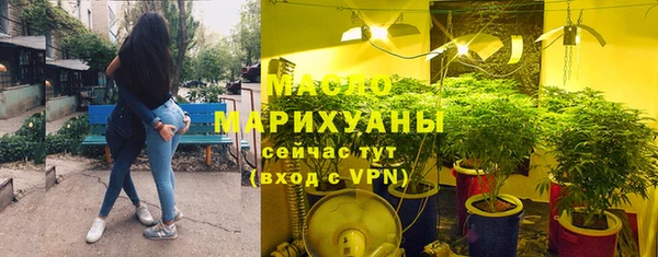 прущие грибы Гусиноозёрск
