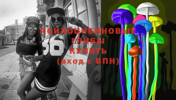 прущие грибы Гусиноозёрск