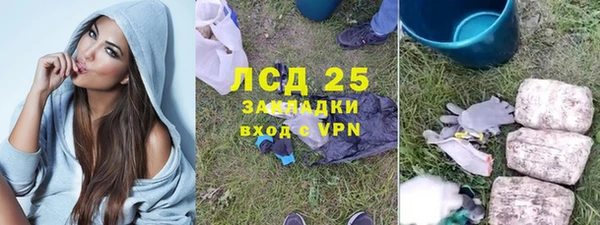 прущие грибы Гусиноозёрск