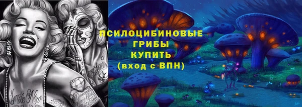прущие грибы Гусиноозёрск