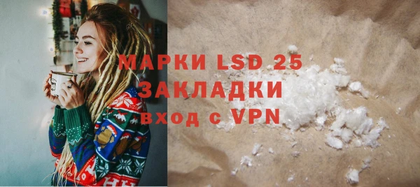прущие грибы Гусиноозёрск