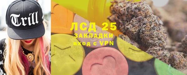 прущие грибы Гусиноозёрск