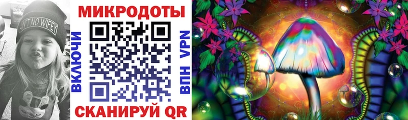 Купить где  Новая Ладога  Псилоцибиновые грибы MAGIC MUSHROOMS 