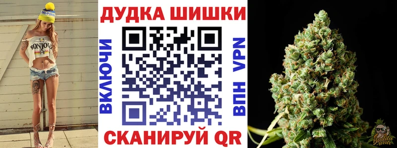 Купить закладки  Новая Ладога  Канабис MAZAR 
